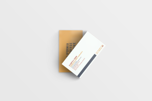 Miami-Florida-E-Commerce-Branding-Business-Card-Design